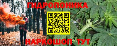 дживик Гусев