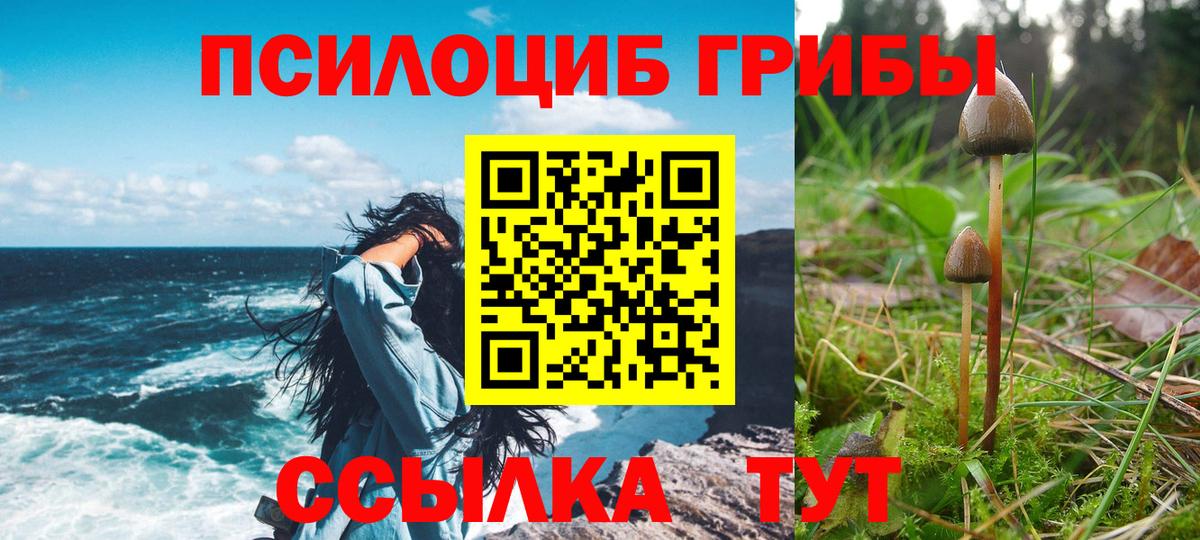 Псилоцибиновые грибы MAGIC MUSHROOMS Мурманск
