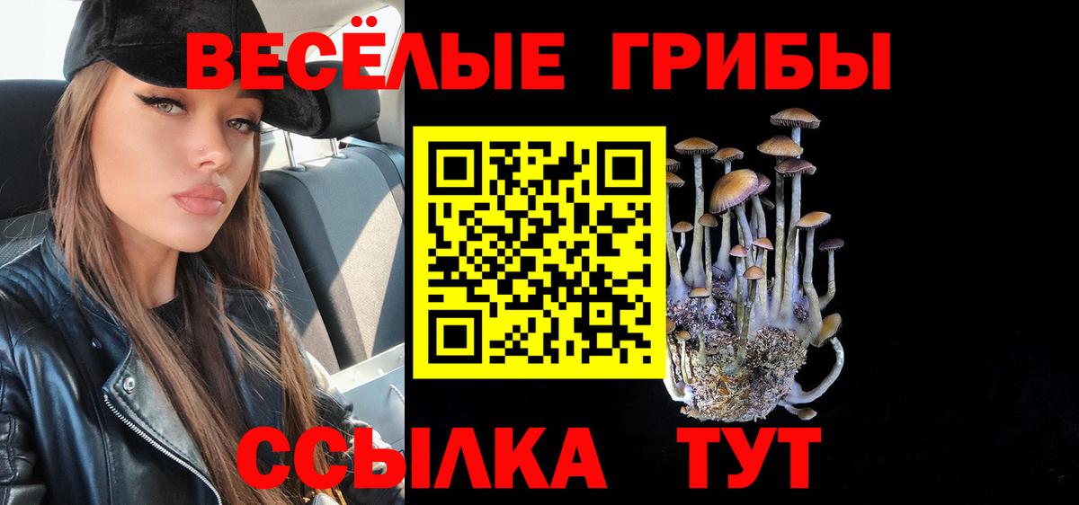 Псилоцибиновые грибы GOLDEN TEACHER  Вход с VPN  Мурманск 